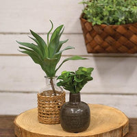 Small Brown Narrow Neck Porcelain Jar - The Fox Decor