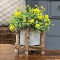 Small Cement Planter in Wooden Frame - The Fox Decor