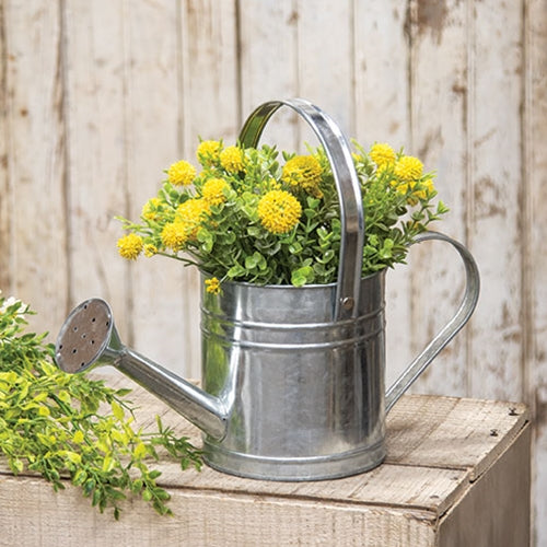 Galvanized Metal Watering Can