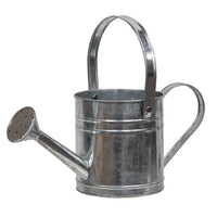 Thumbnail for Galvanized Metal Watering Can