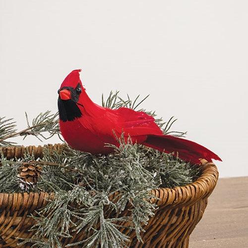 Red Feathered Cardinal Clip 10 - The Fox Decor
