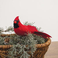 Red Feathered Cardinal Clip 10 - The Fox Decor