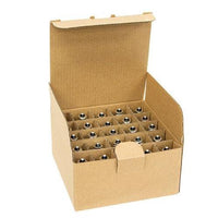 Amber Replacement Bulb Candelabra Base 5 W - The Fox Decor