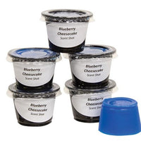 6 Pkg Blueberry Cheesecake Scent Shots - The Fox Decor