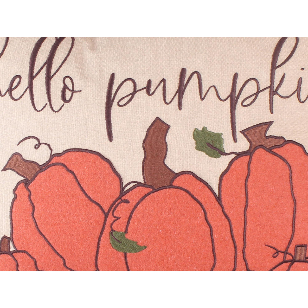 F hello pumpkin pillow 14 Inx20 In PL376024