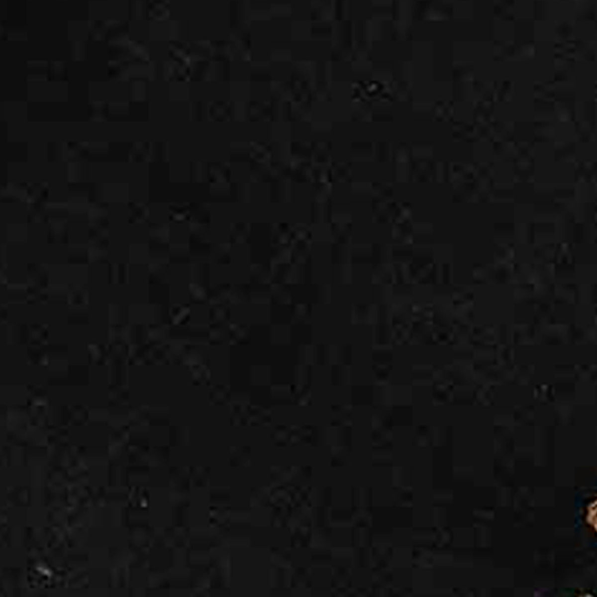 Pumpkin Table Runner TRAR00J3