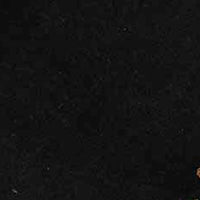 Pumpkin Table Runner TRAR00J3