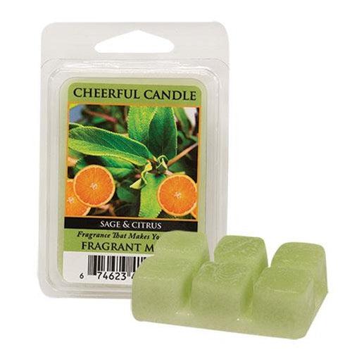 Sage and Citrus Wax Melts - The Fox Decor