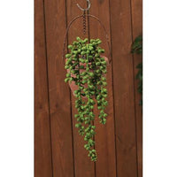 Succulent Strand 1375 L - The Fox Decor