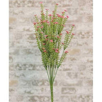 Pink Astilbe Bush 20 - The Fox Decor