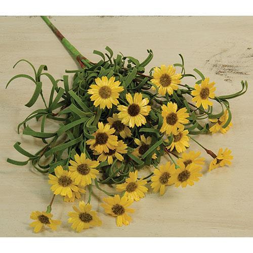 Mini Mountain Daisy Bush Yellow - The Fox Decor