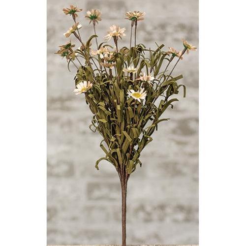 Mini Mountain Daisy Bush Teastain - The Fox Decor