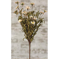 Mini Mountain Daisy Bush Teastain - The Fox Decor