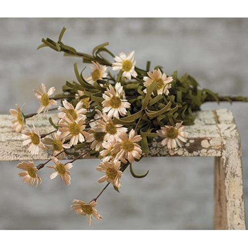 Mini Mountain Daisy Bush Teastain - The Fox Decor
