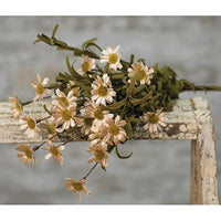 Mini Mountain Daisy Bush Teastain - The Fox Decor
