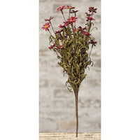 Mini Mountain Daisy Bush Burgundy - The Fox Decor