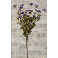 Mini Mountain Daisy Bush Purple - The Fox Decor