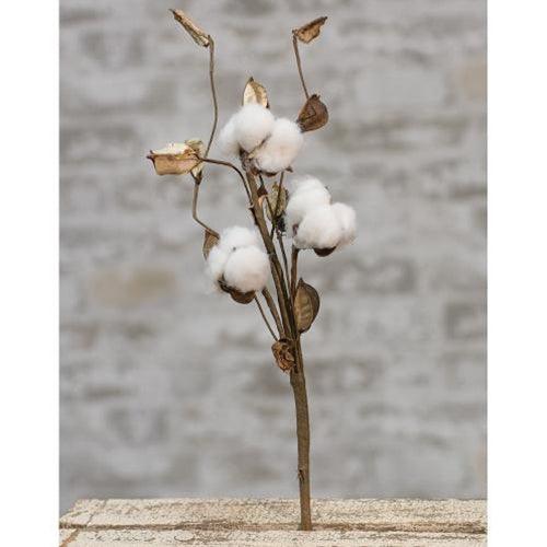 Cotton Pick w Shells 12 - The Fox Decor