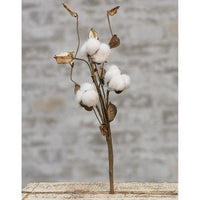 Cotton Pick w Shells 12 - The Fox Decor