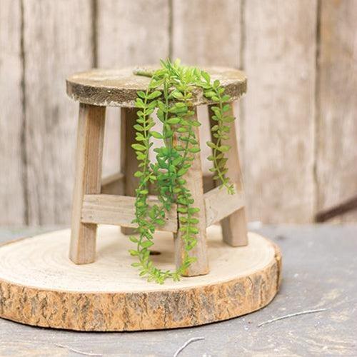 Hanging Angel Fern 11 - The Fox Decor
