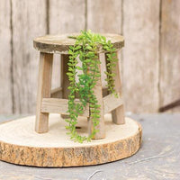 Hanging Angel Fern 11 - The Fox Decor