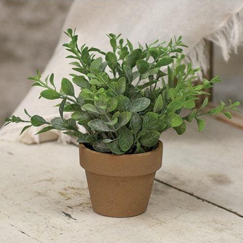 Gatehouse Herb Pot #2 6 - The Fox Decor