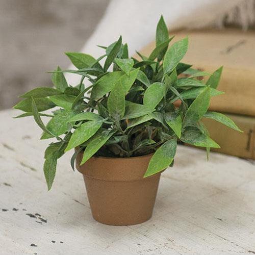 Gatehouse Herb Pot #3 6 - The Fox Decor