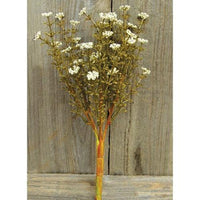 Cream Fall Astilbe Bush 105 - The Fox Decor