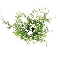 Fine Grass Ring 1 Dia - The Fox Decor