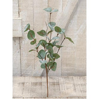Crisp Air Eucalyptus Pick 14 - The Fox Decor
