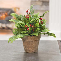 Potted Dazzling Holly - The Fox Decor