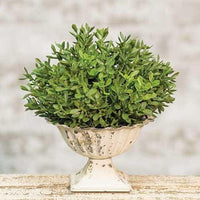 New England Boxwood Half Sphere 7 - The Fox Decor