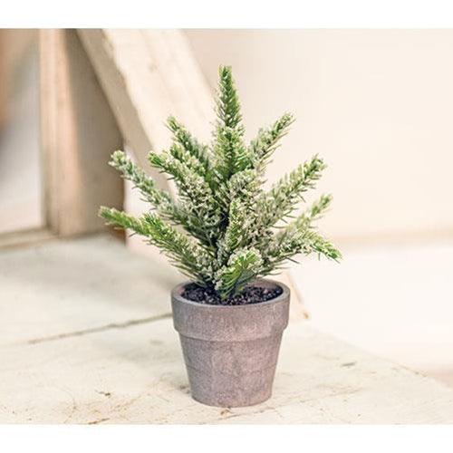Potted Icy Pine 7 - The Fox Decor