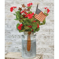 Rusty Star Spray - The Fox Decor