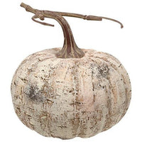 White Birch Pumpkin 6 - The Fox Decor