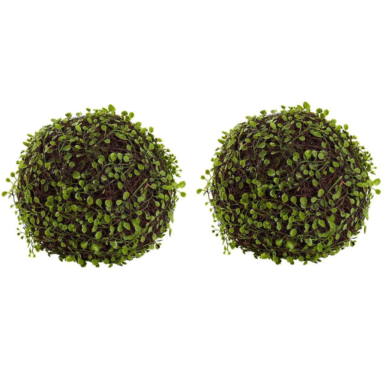 9” Mohlenbechia Ball (Set Of 2) - The Fox Decor