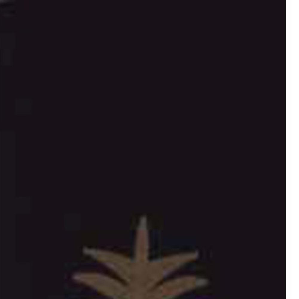 Black Pineapple Welcome Towel Set Of Two ETAR00J2 - The Fox Decor