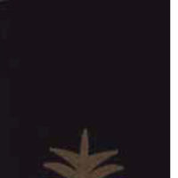 Black Pineapple Welcome Towel Set Of Two ETAR00J2 - The Fox Decor