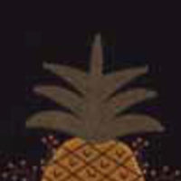 Black Pineapple Welcome Towel Set Of Two ETAR00J2 - The Fox Decor