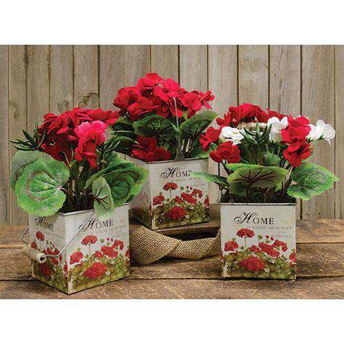 Geranium in Designer Pot, 3 Asstd. - The Fox Decor